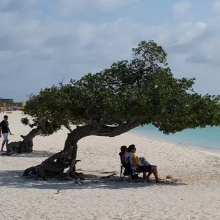 Aruba, Aruba