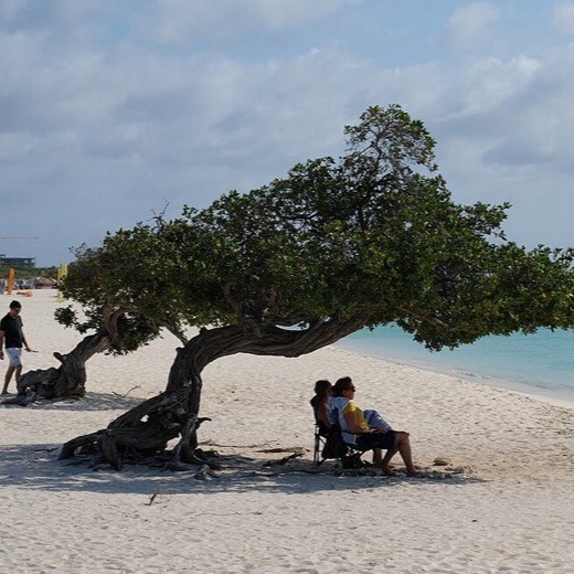 Aruba, Aruba